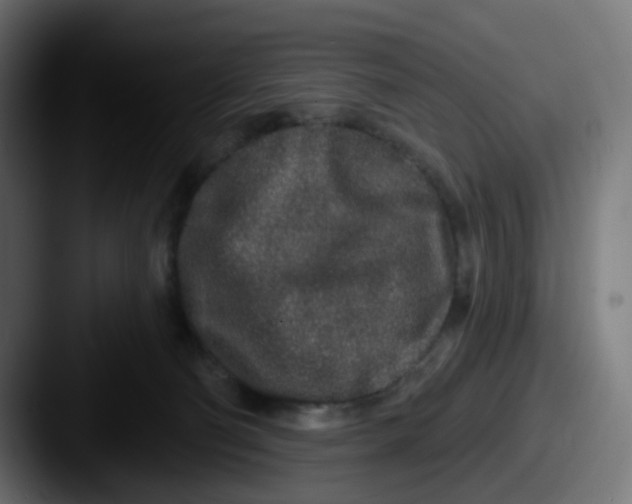 X0000087570130200705181149