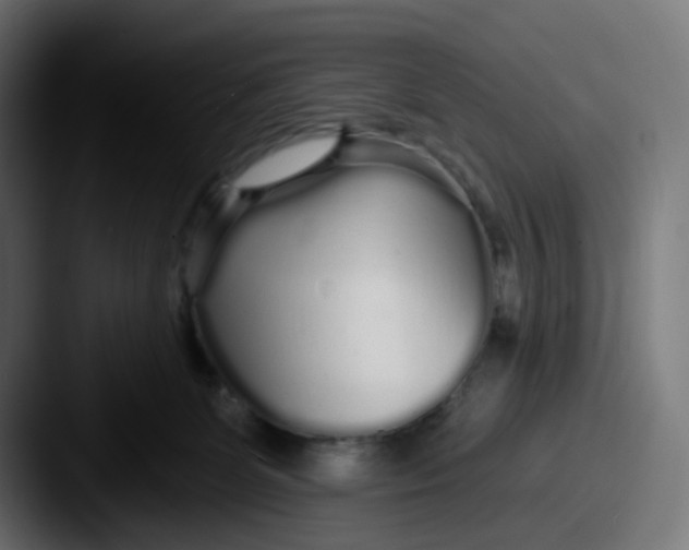 X0000087570131200705181149