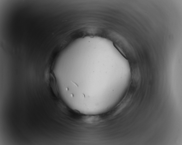 X0000087570135200705181149