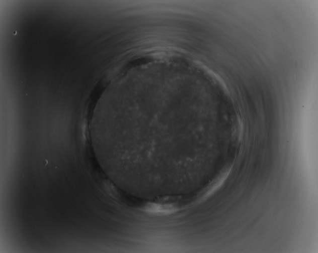 X0000087570137200705181149