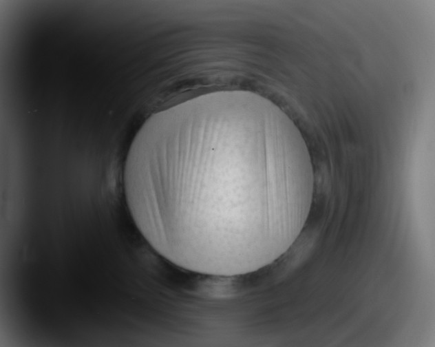 X0000087570138200705181149