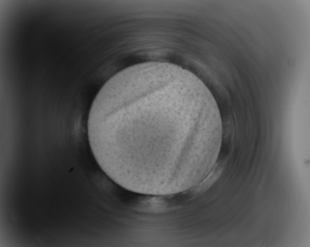 X0000087570140200705181149