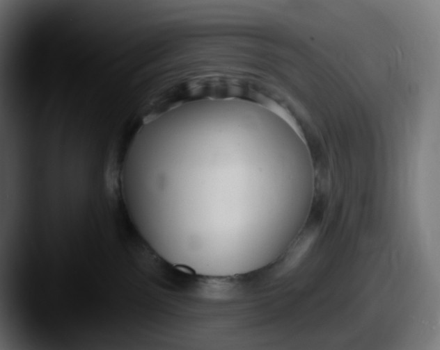 X0000087570141200705181149