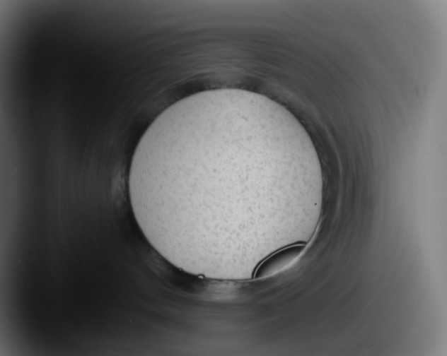 X0000087570144200705181149