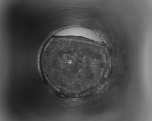 X0000087570147200705181149