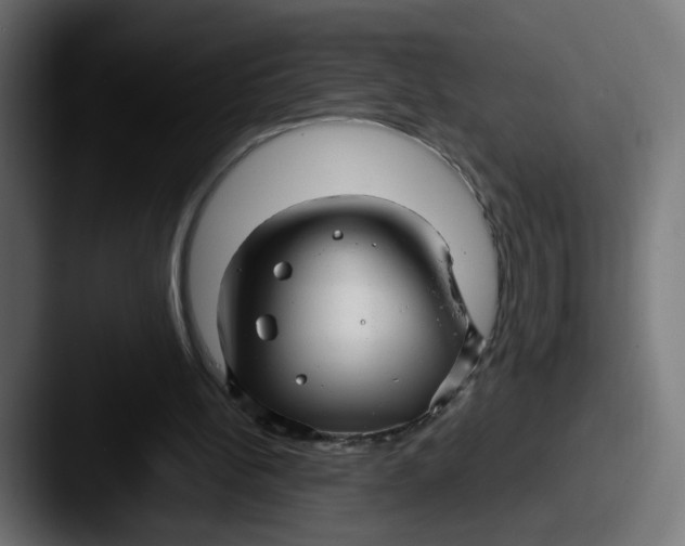 X0000087570148200705181149