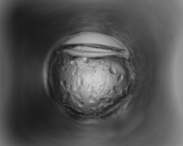 X0000087570149200705181149