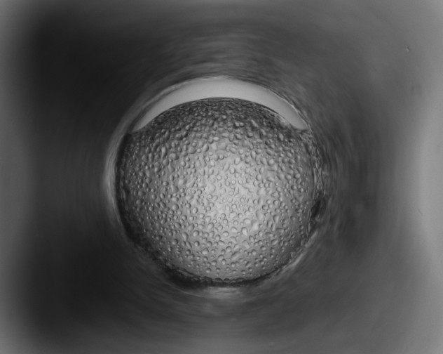 X0000087570150200705181149