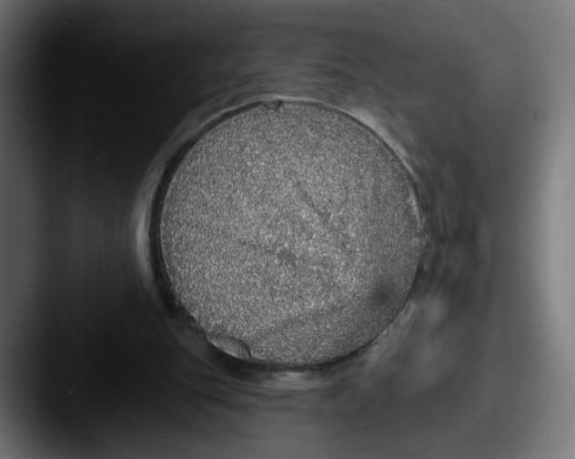 X0000087570151200705181149