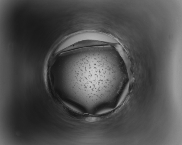 X0000087570152200705181149