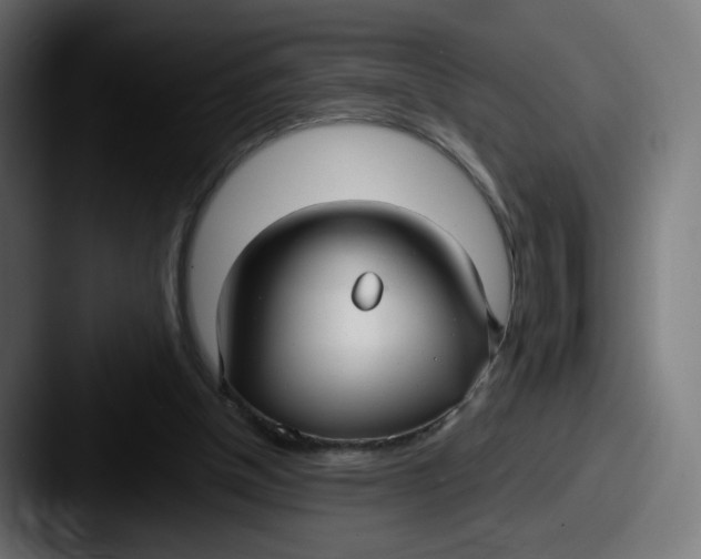 X0000087570154200705181149