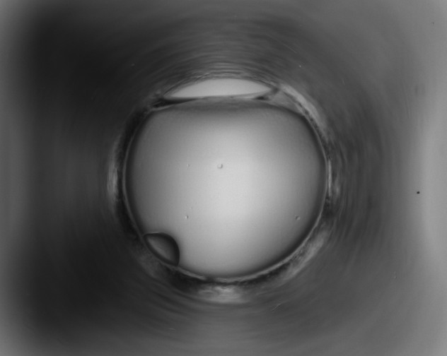 X0000087570157200705181149