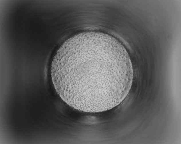 X0000087570159200705181149