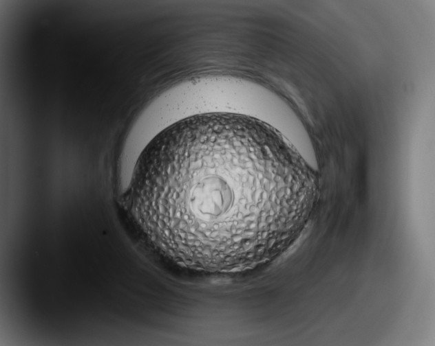 X0000087570162200705181149