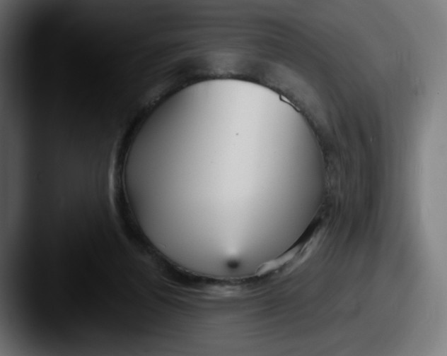 X0000087570164200705181149