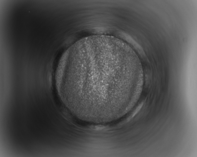 X0000087570165200705181149