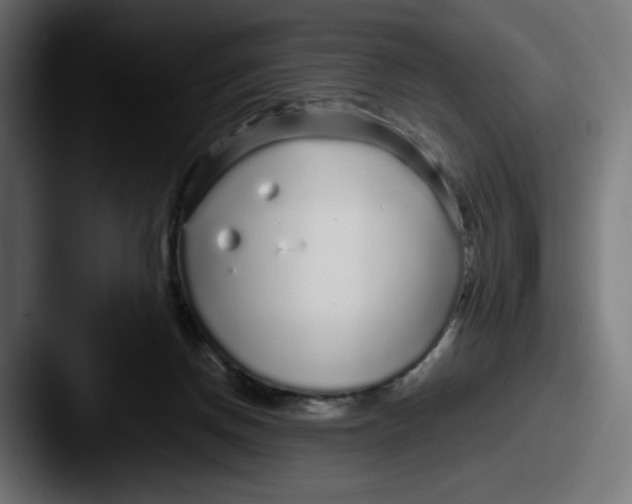 X0000087570166200705181149