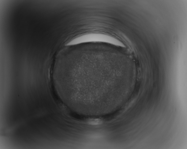 X0000087570169200705181149