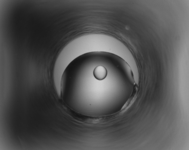 X0000087570170200705181149