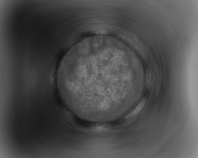 X0000087570175200705181149