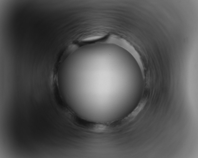 X0000087570176200705181149