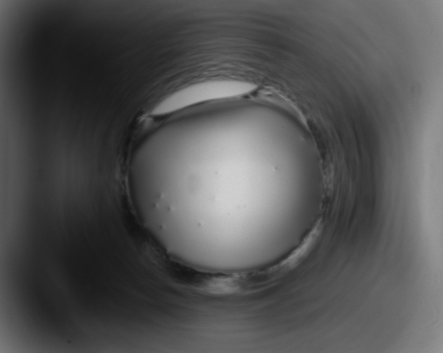 X0000087570178200705181149