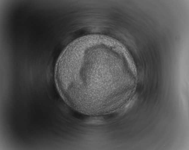 X0000087570179200705181149