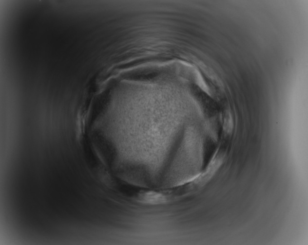 X0000087570180200705181149