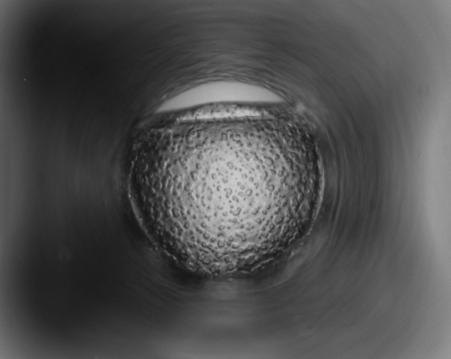 X0000087570181200705181149