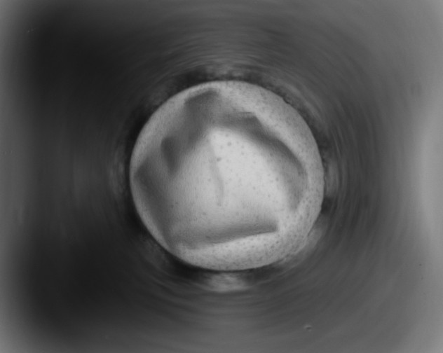 X0000087570183200705181149