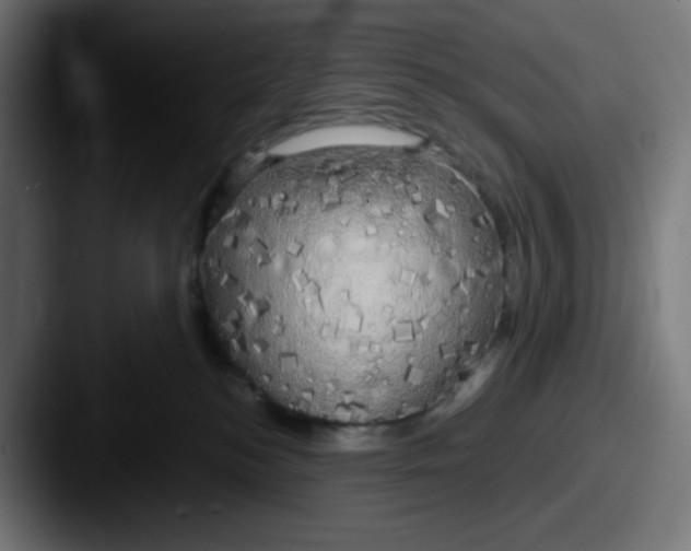 X0000087570184200705181149