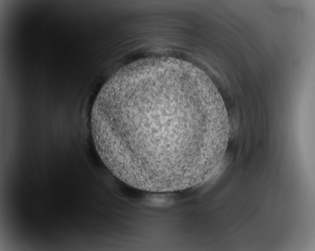 X0000087570187200705181149