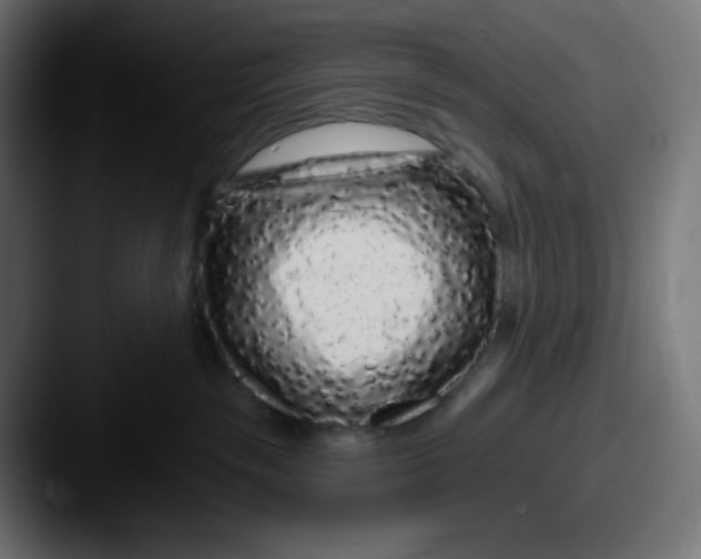 X0000087570189200705181149