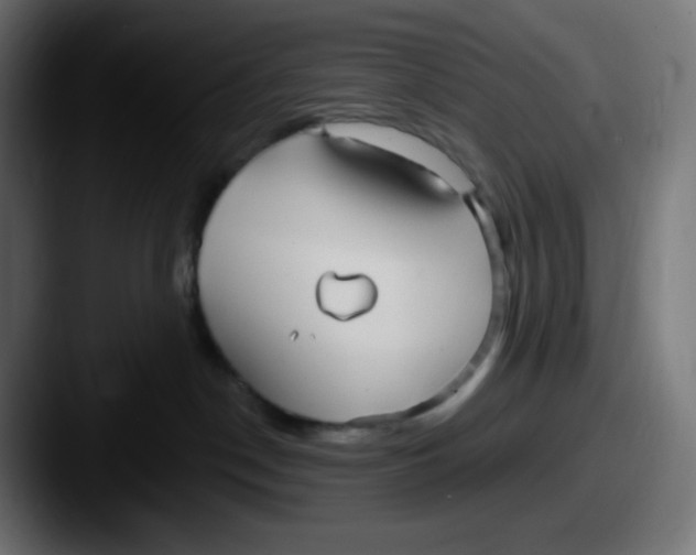 X0000087570190200705181149