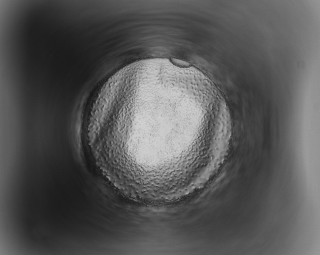 X0000087570194200705181149