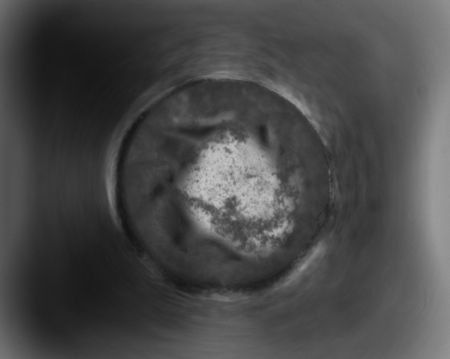 X0000087570199200705181149