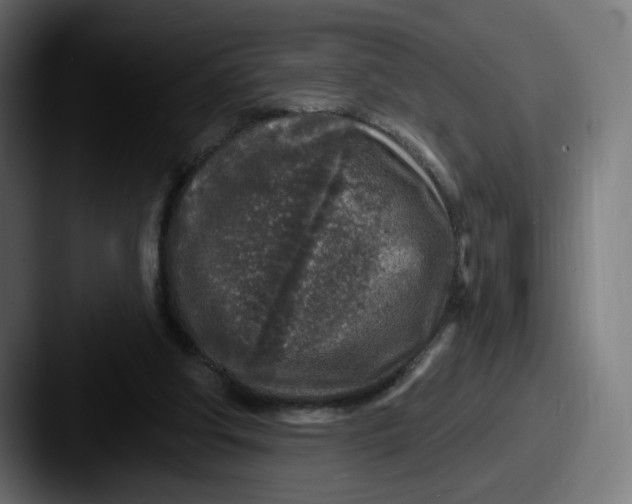 X0000087570202200705181148