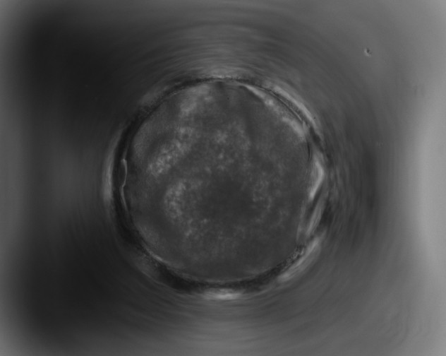 X0000087570203200705181148