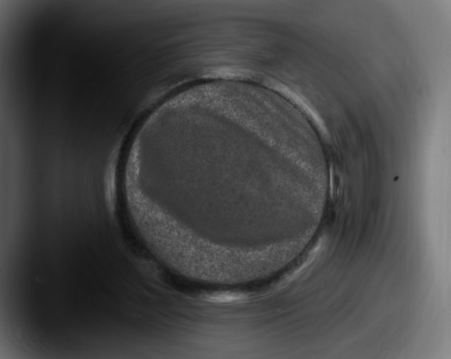 X0000087570204200705181148