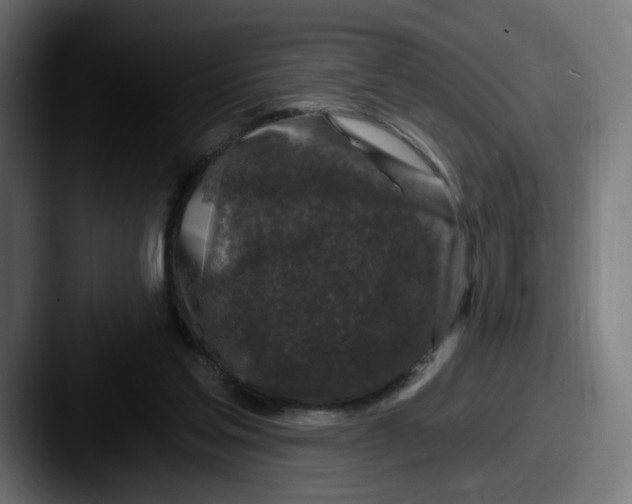 X0000087570205200705181148