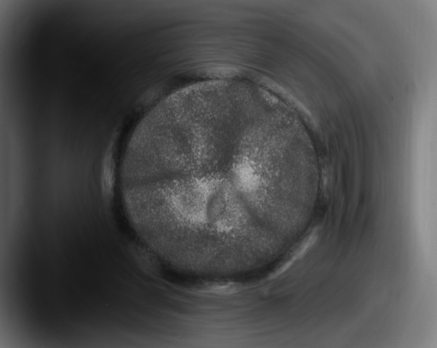 X0000087570206200705181148