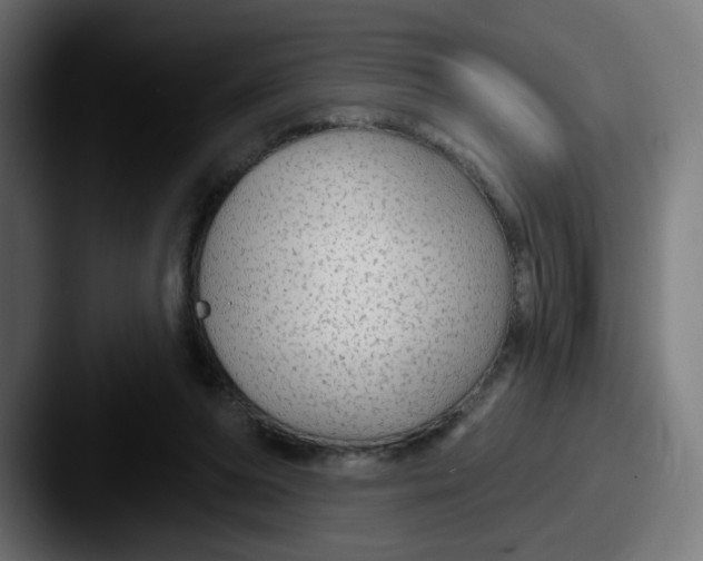 X0000087570208200705181148