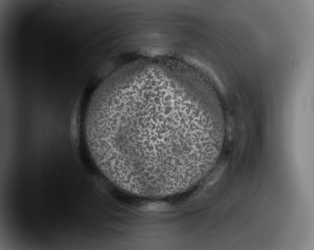 X0000087570210200705181148