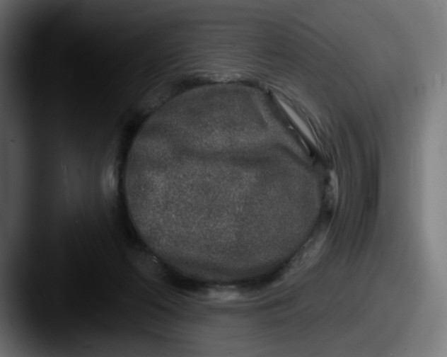 X0000087570214200705181148