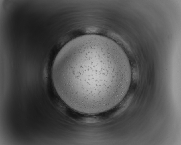 X0000087570215200705181148