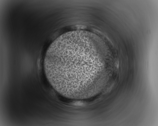 X0000087570218200705181148