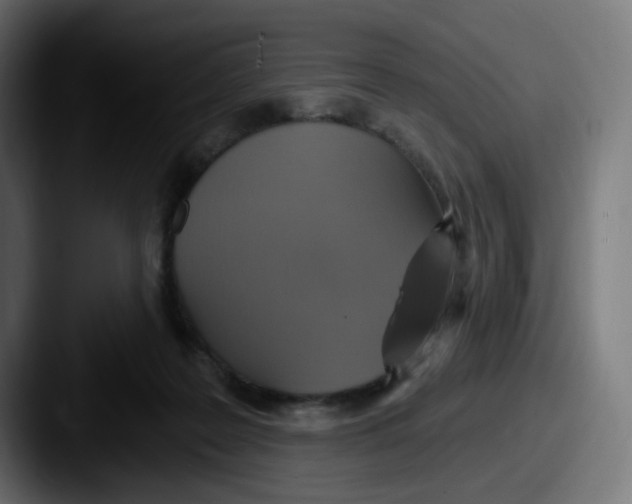 X0000087570219200705181148