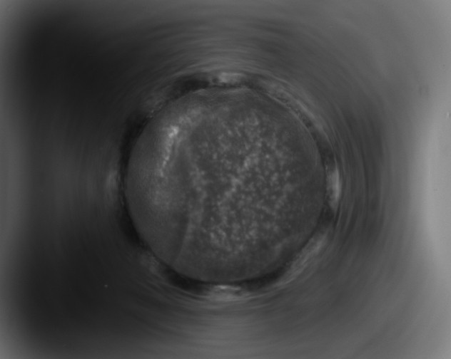 X0000087570222200705181148