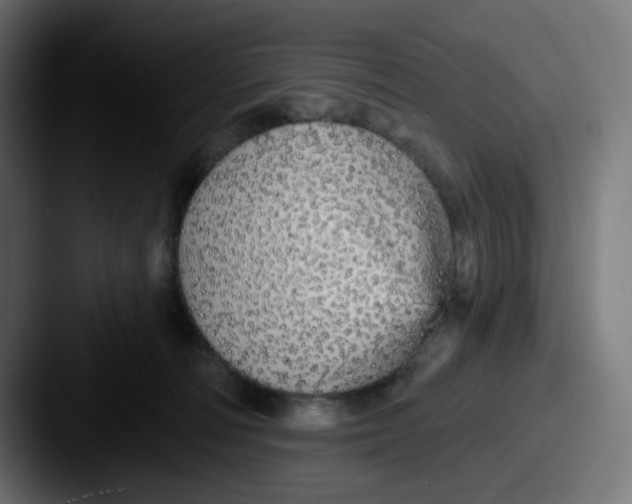 X0000087570226200705181148