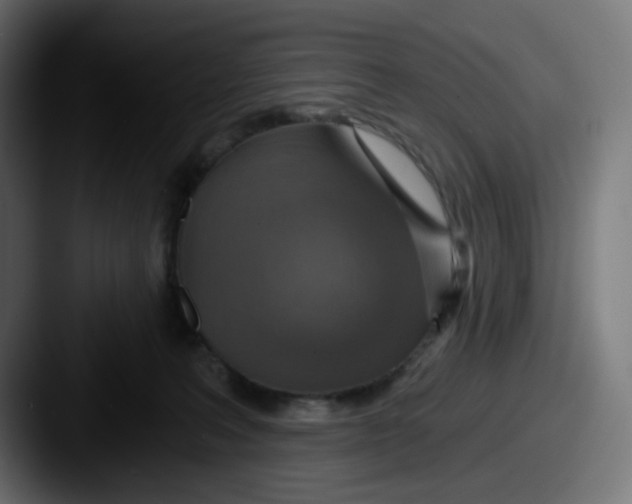 X0000087570227200705181148